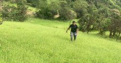 घुटके मुळशी