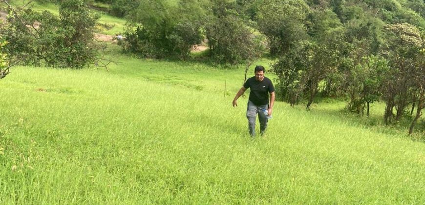 घुटके मुळशी