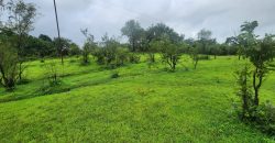 20r प्लॉट टेमघर