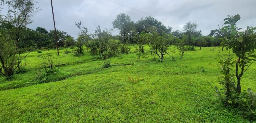 20r प्लॉट टेमघर