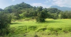 घुटके मुळशी