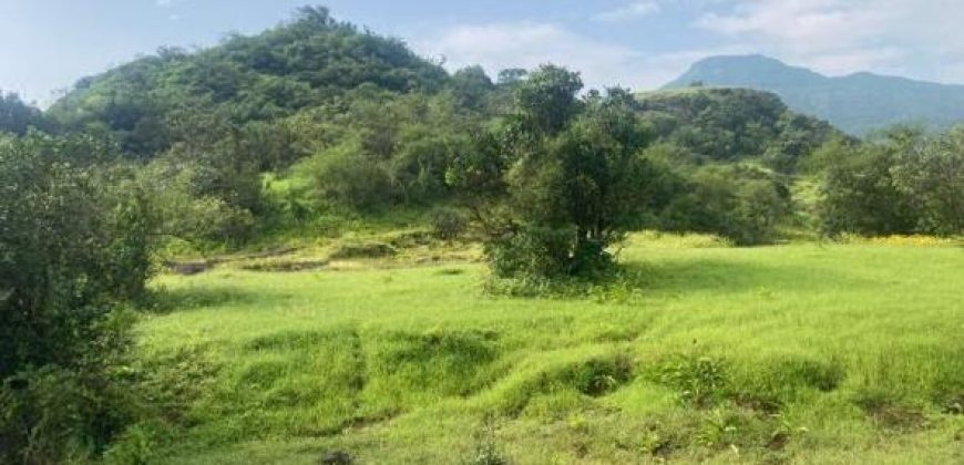 घुटके मुळशी