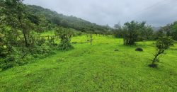 20r प्लॉट टेमघर