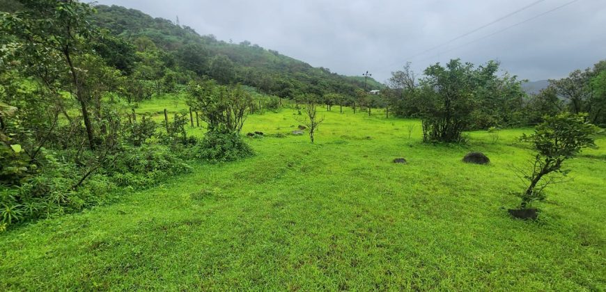 20r प्लॉट टेमघर